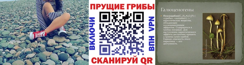 цена наркотик  kraken ссылки  Галлюциногенные грибы Psilocybine cubensis  Нефтекумск 