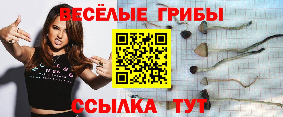 Псилоцибиновые грибы ЛСД  Вход с VPN  Нефтекумск  Псилоцибиновые грибы MAGIC MUSHROOMS 